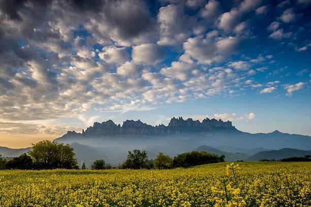 Apartament Roca Foradada Monistrol de Montserrat Buitenkant foto